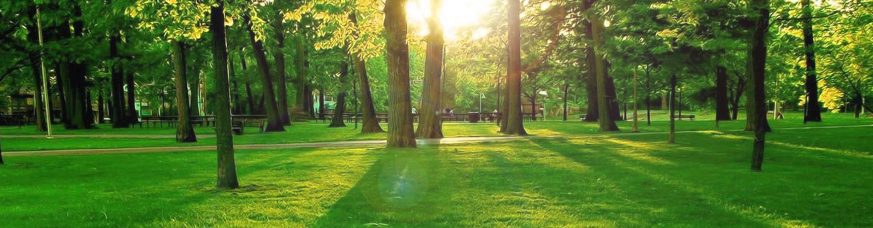 文化環境|湯溪高級中學