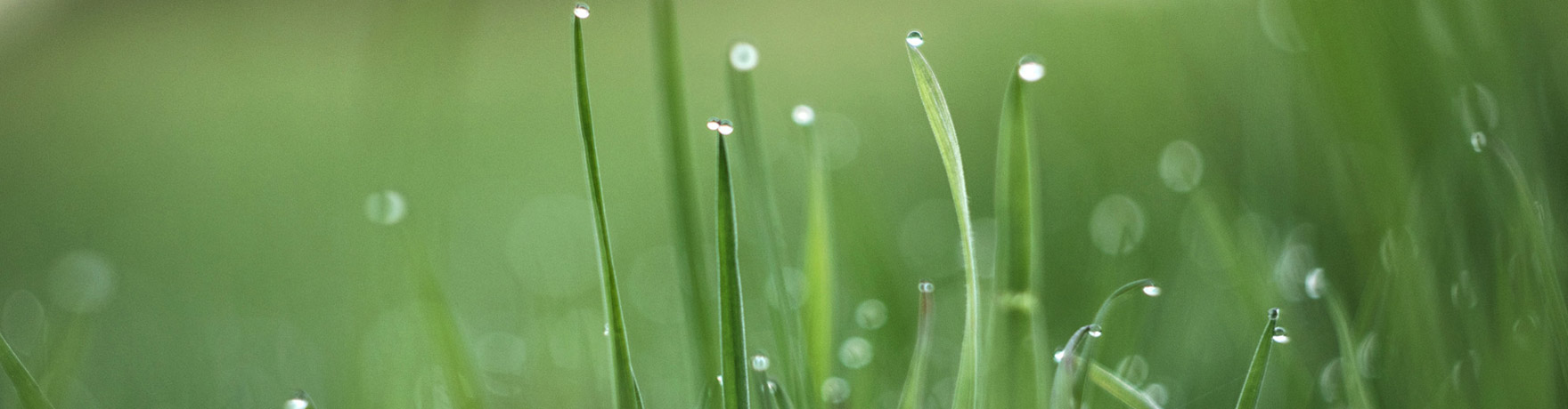 能源企業(yè)畫(huà)冊(cè)設(shè)計(jì)