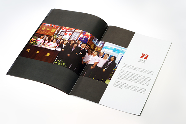 北京vi設(shè)計(jì) 全套vi設(shè)計(jì) vi手冊設(shè)計(jì)報(bào)價(jià)